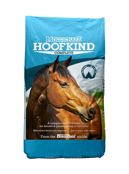 equestrian index equestrian news hoof