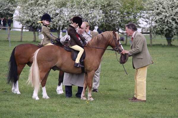 Equestrian News Equestrian Index hambleton