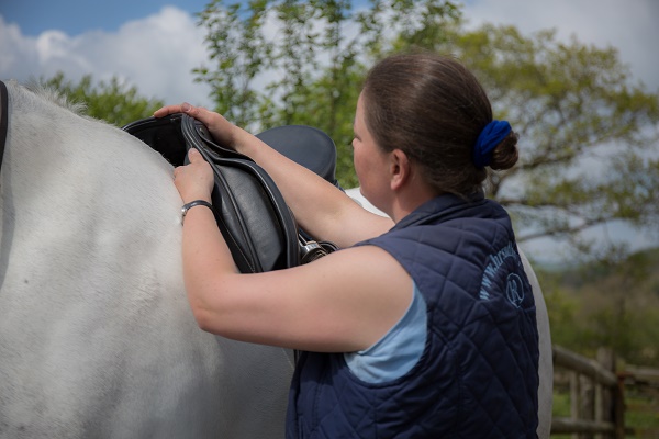 equestrian index equestrian news reader