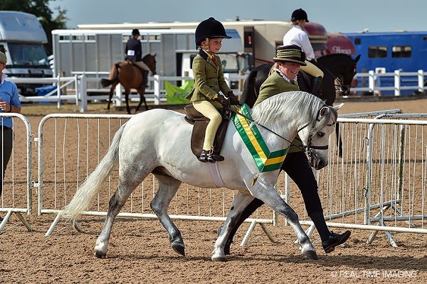 Equestrian Index Equestrian News yessir