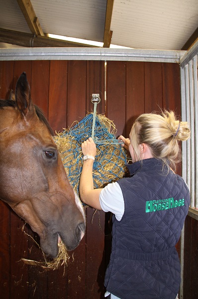 equestrian news equestrian index net