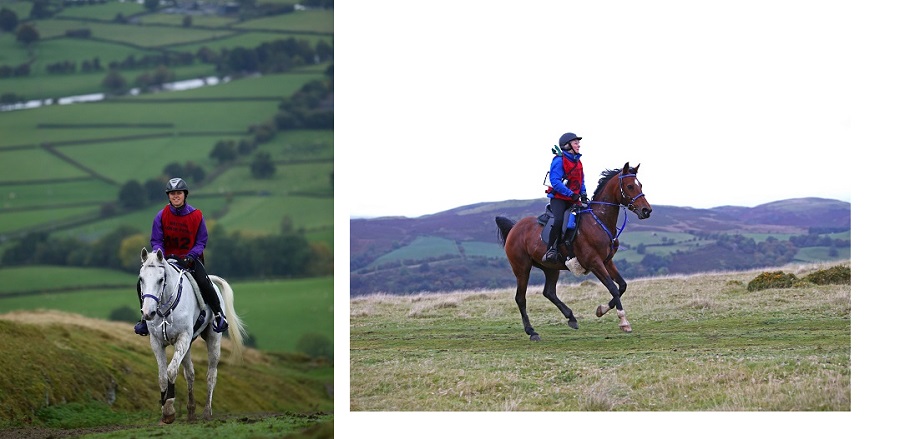 equestrian news red dragon endurance