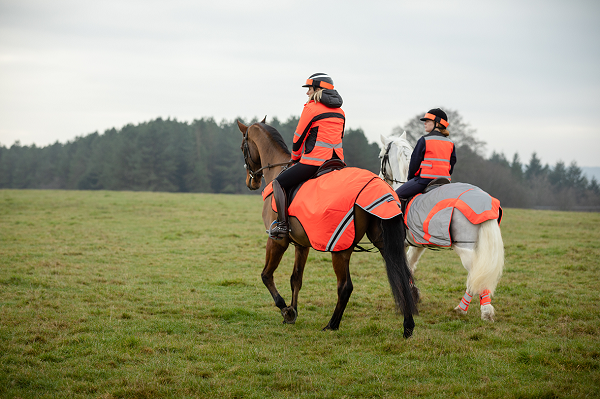 equestrian index equestrian news inverno