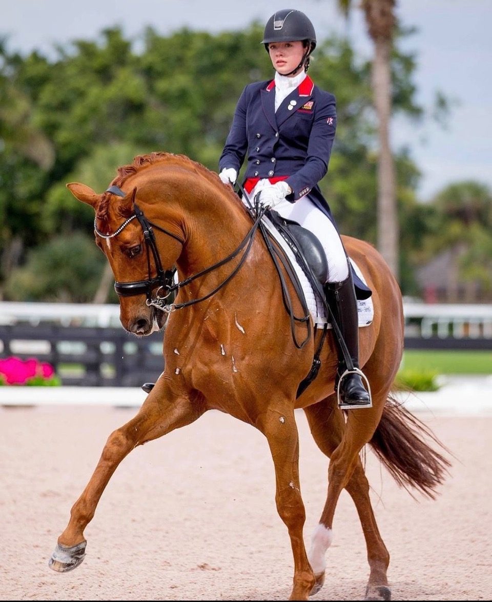 synovium young dressage riders
