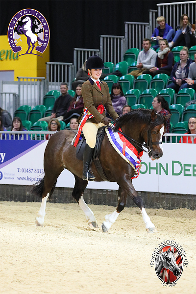 Equestrian News Equestrian Index flash