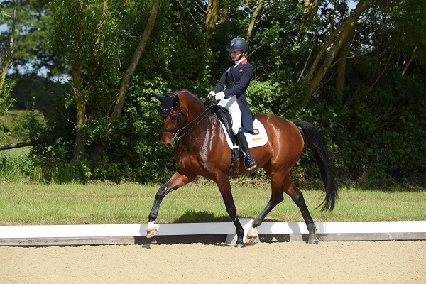 Equestrian News Equestrian Index gaga