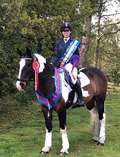 equestrian index equestrian news humbug