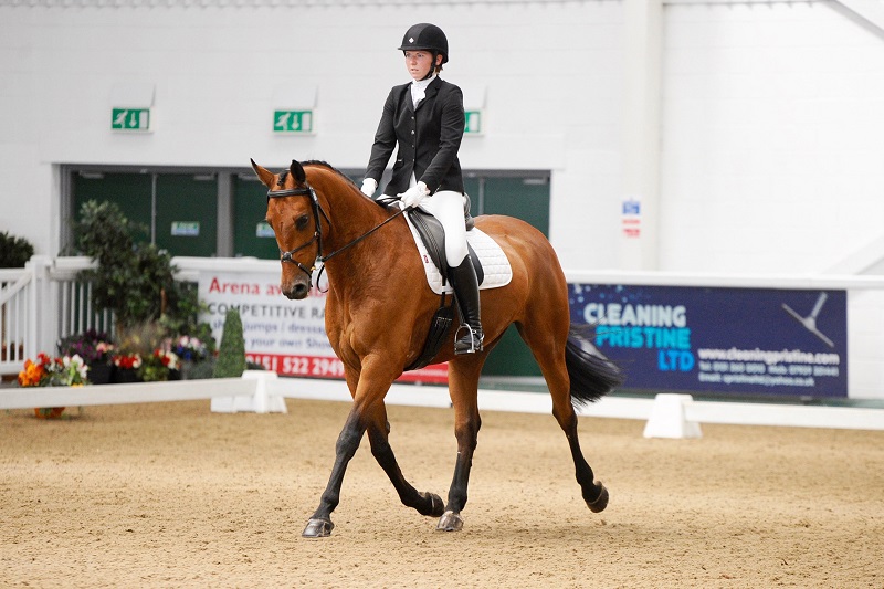 SpeediBeet and FibreBeet Provide New Diet for UlcerProne Stig