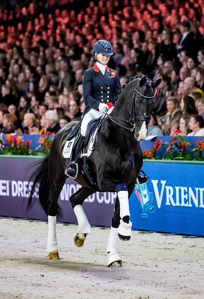 equestrian news equestrian index everdale