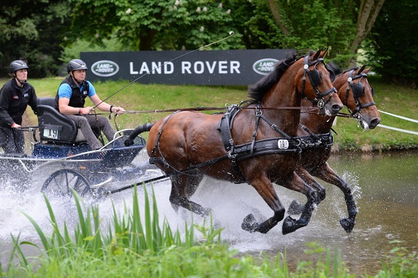 equestrian news equestrian index marathon