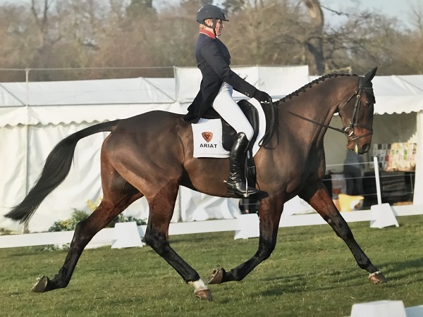 equestrian news equestrian index king