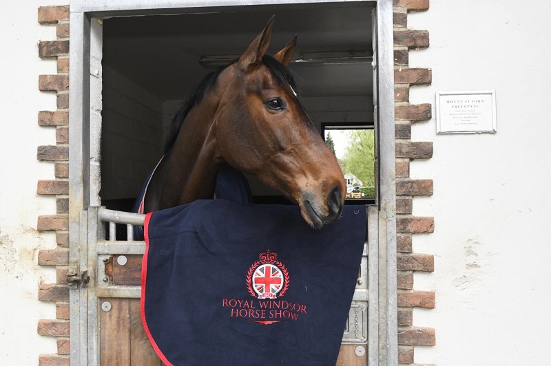 equestrian news the equestrian index Mount St John Charlotte Dujardin