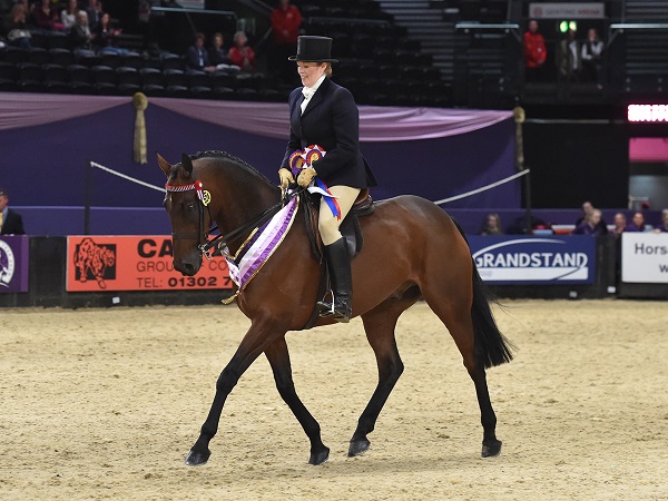 equestrian news the equestrian index SEIB racehorse to riding horse HOYS