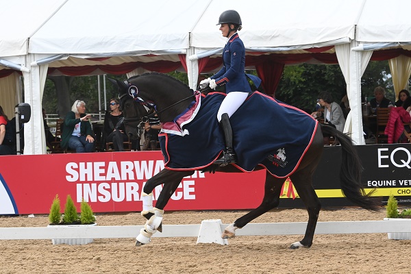 equestrian index equestrian news shear