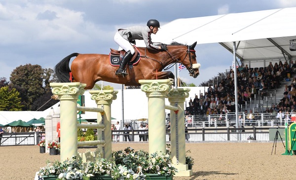 equestrian news equestrian index pedr