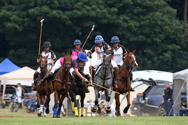 equestrian index equestrian news club