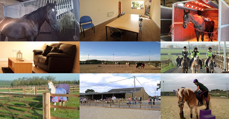 equestrian news the equestrian index rein&shine equestrian news