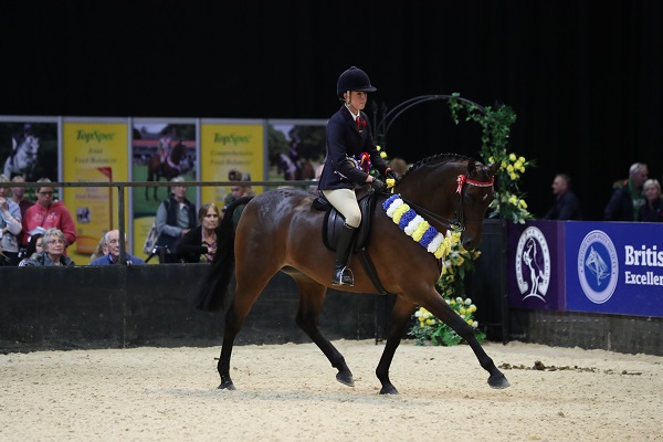 Equestrian News Equestrian Index ridden