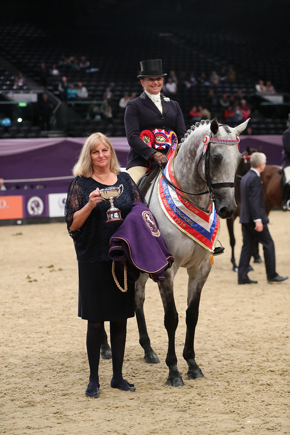 SEIB raacehorse to riding horse