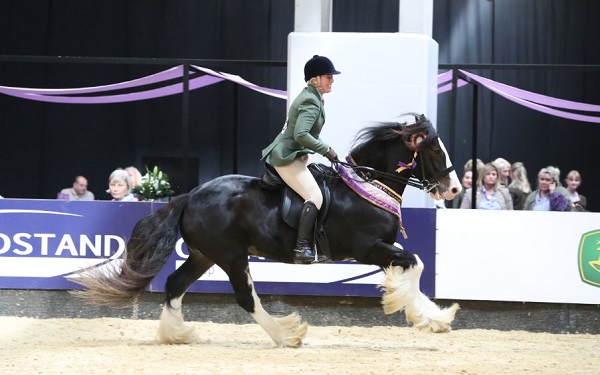 Equestrian News Equestrian Index seib17