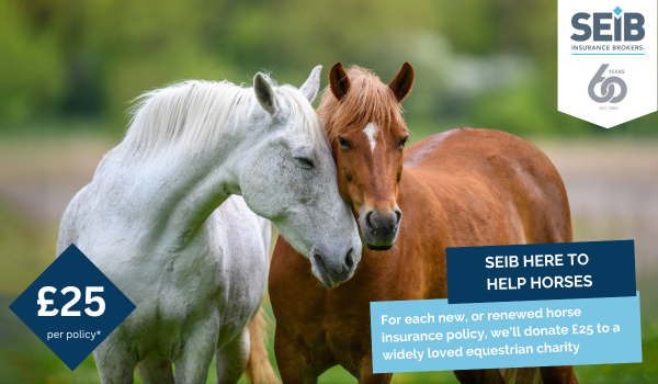 SEIB Insurance Brokers donate to equine charities SEIB donates