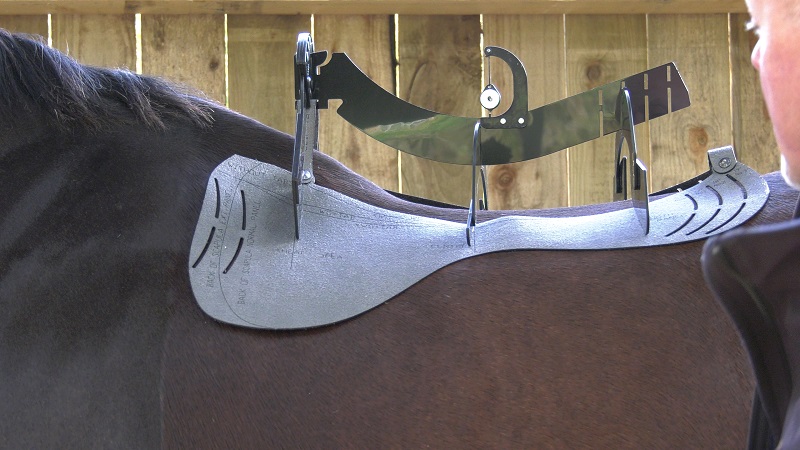 equestrian news the equestrian index WOW saddle guage
