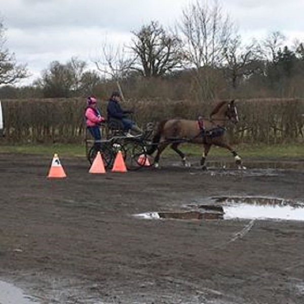 Equestrian Index Equestrian News kelly