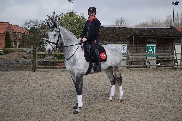 Equestrian News Equestrian Index scooby