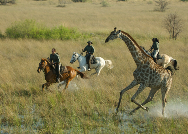 ranchrider okavanga delta