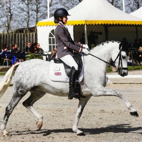 Sophie Williams on Ella for Equitheme equestrian news Sophie Williams on Ella for Equitheme