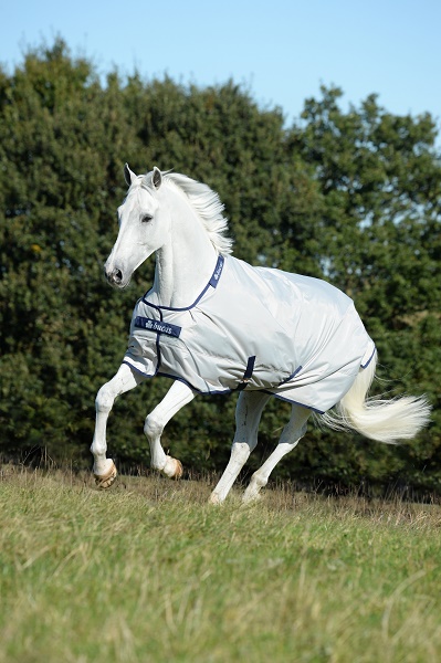 equestrian index equestrian news sunshower