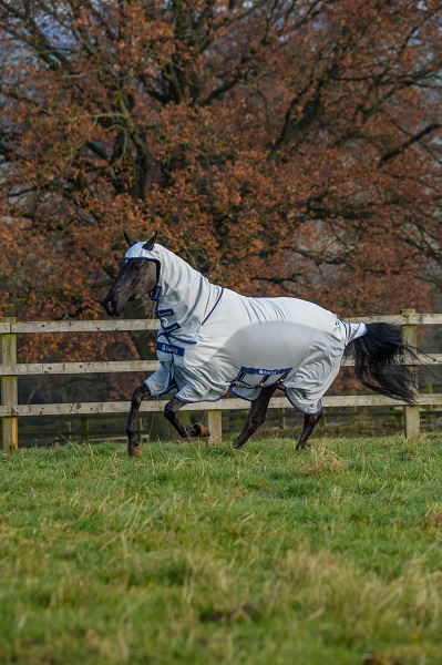 equestrian news equestrian index sweetitch