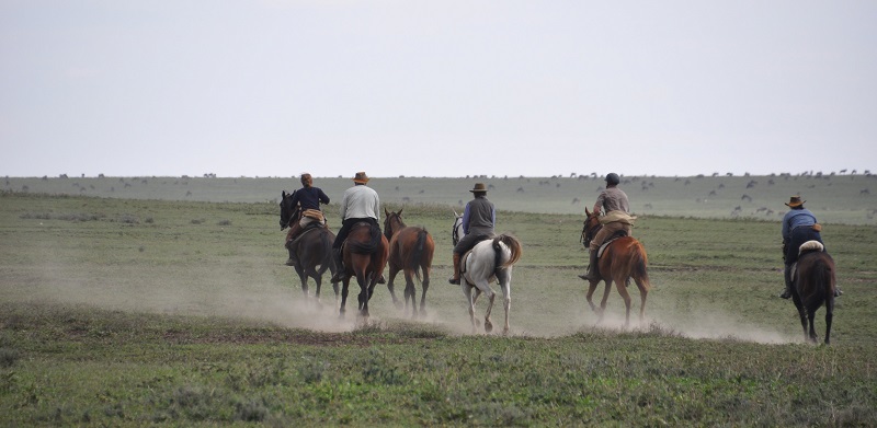 tanzania serengeti ranch rider