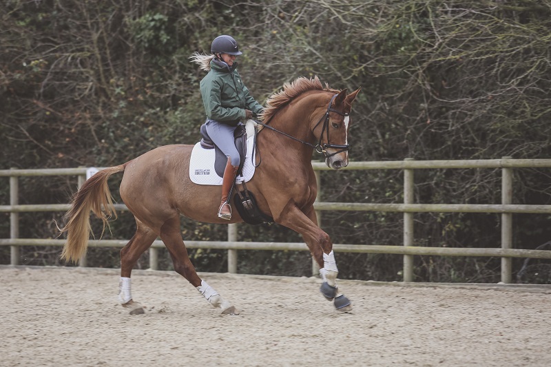 equestrian news the equestrian index childeEric Saddle test ride