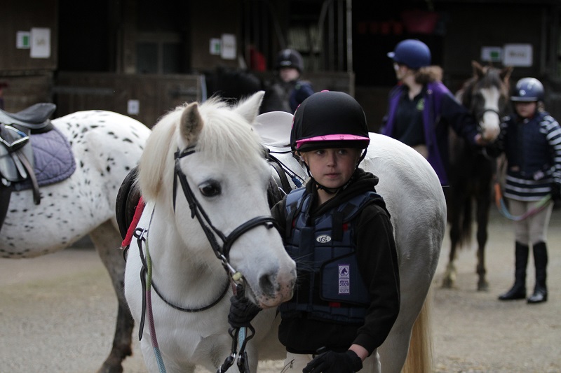 rda accessibility mark west midlands equestrian news
