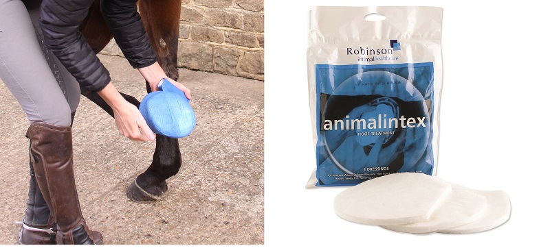 Abscess causes with Robinson animal healthcare