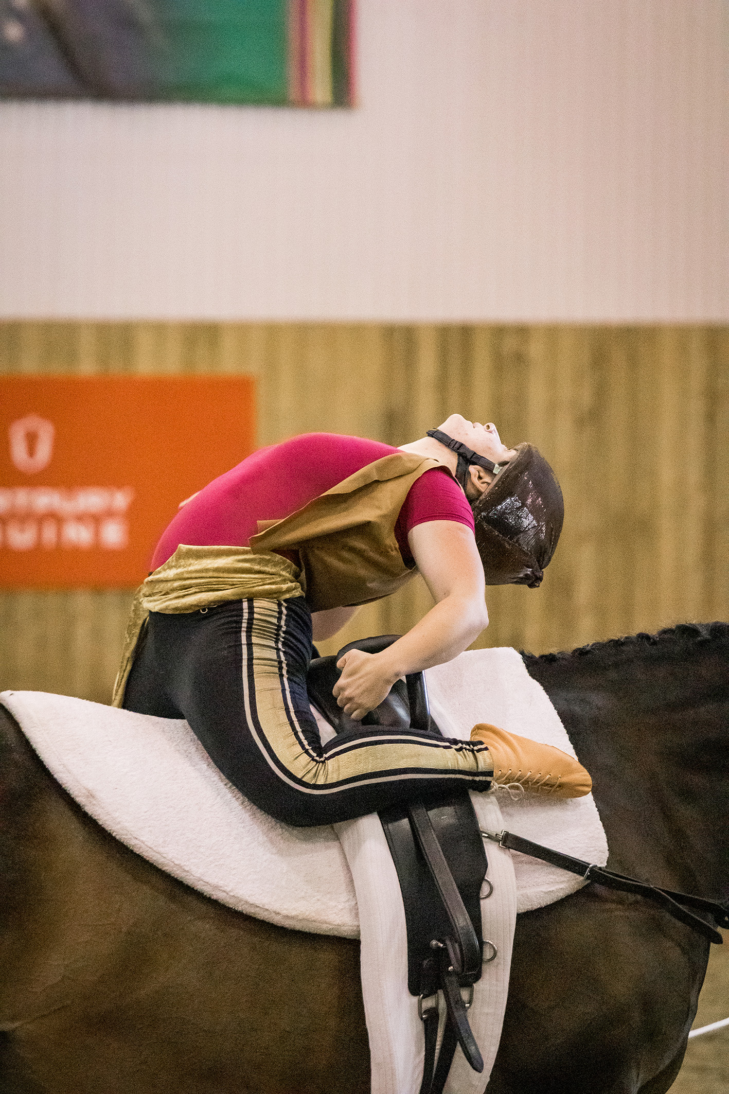 RDA vaulting groups