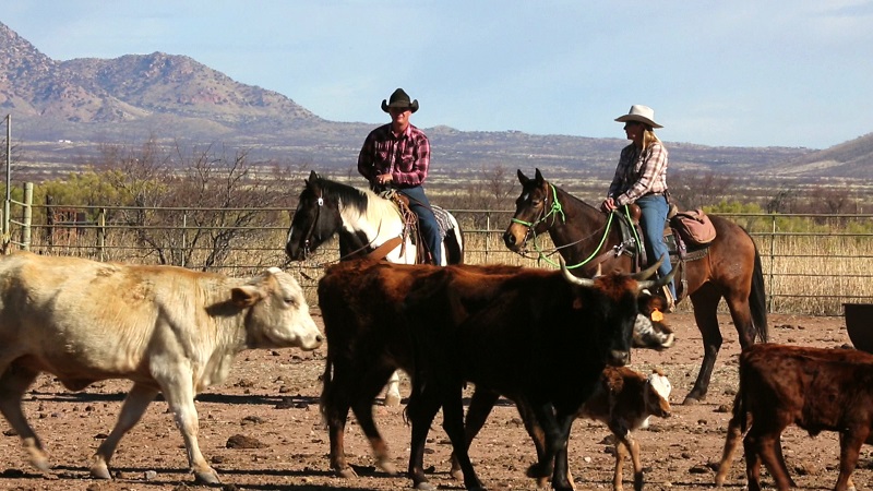 tombestone ranch