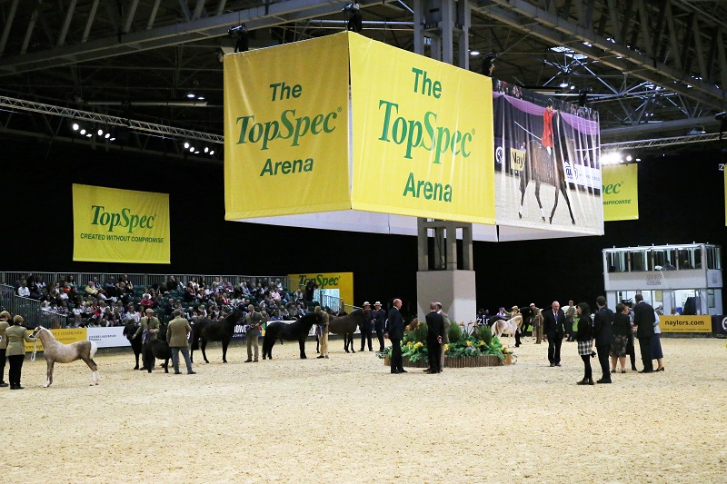 equestrian news the equestrian index topespec arena HOYS