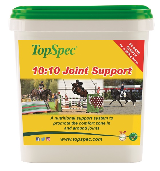 Equestrian Index Equestrian News topspec