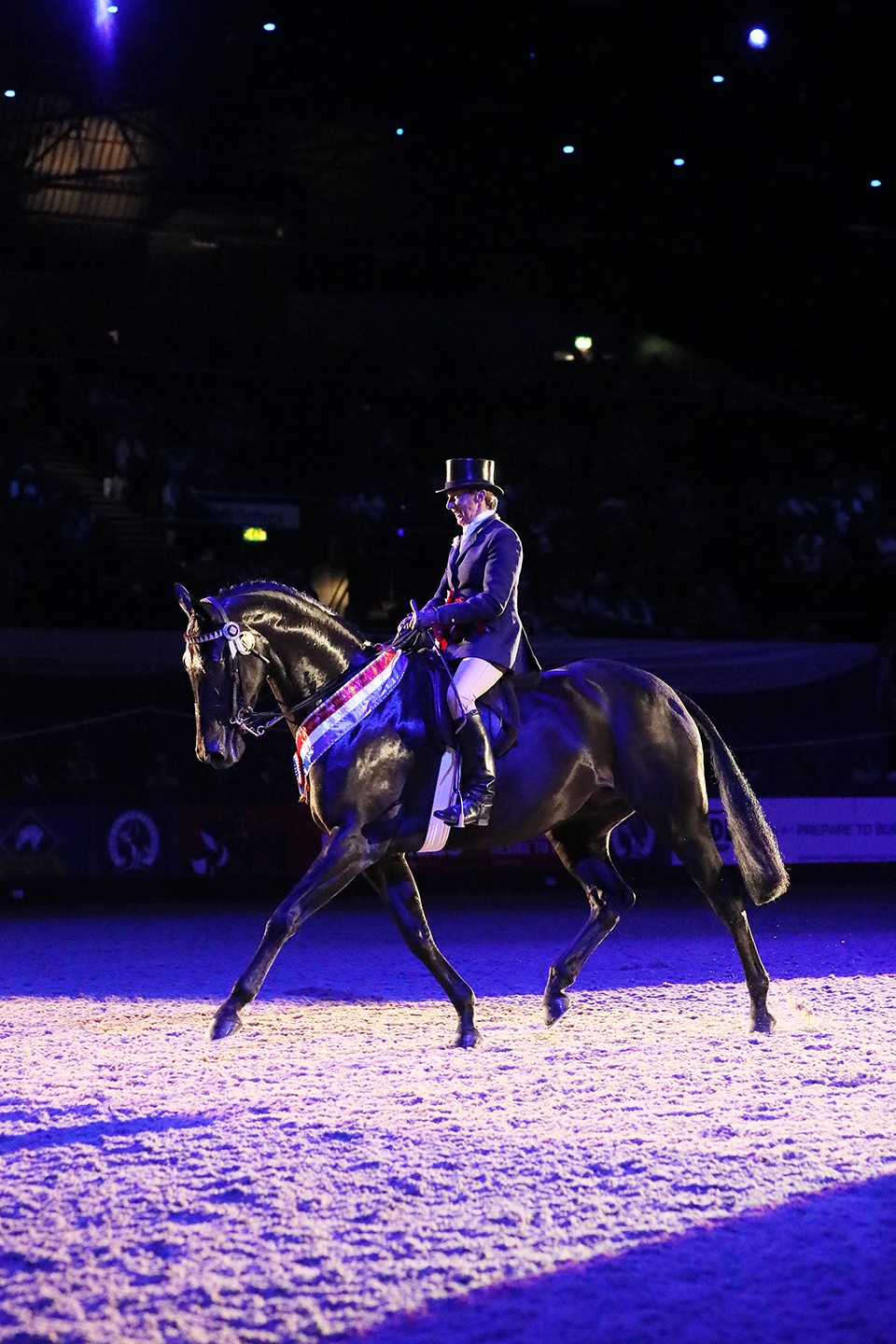 Topham Barnes HAck of the year HOYS 2019