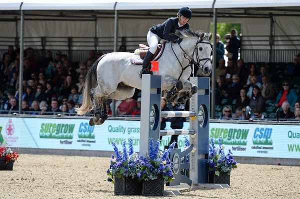 equestrian news the equestrian index tracy