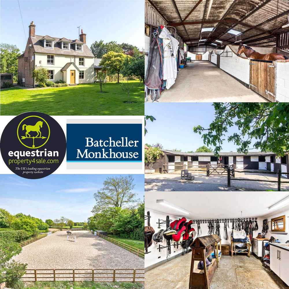 equestrianproperty for sale