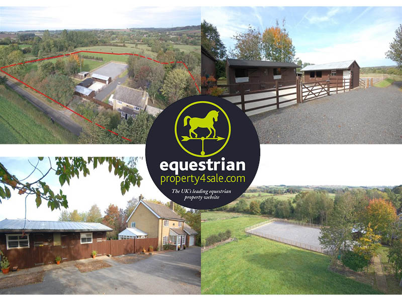 equestrian property for sale january 2019