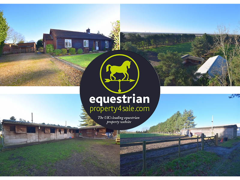 equestrian property for sale february 2019