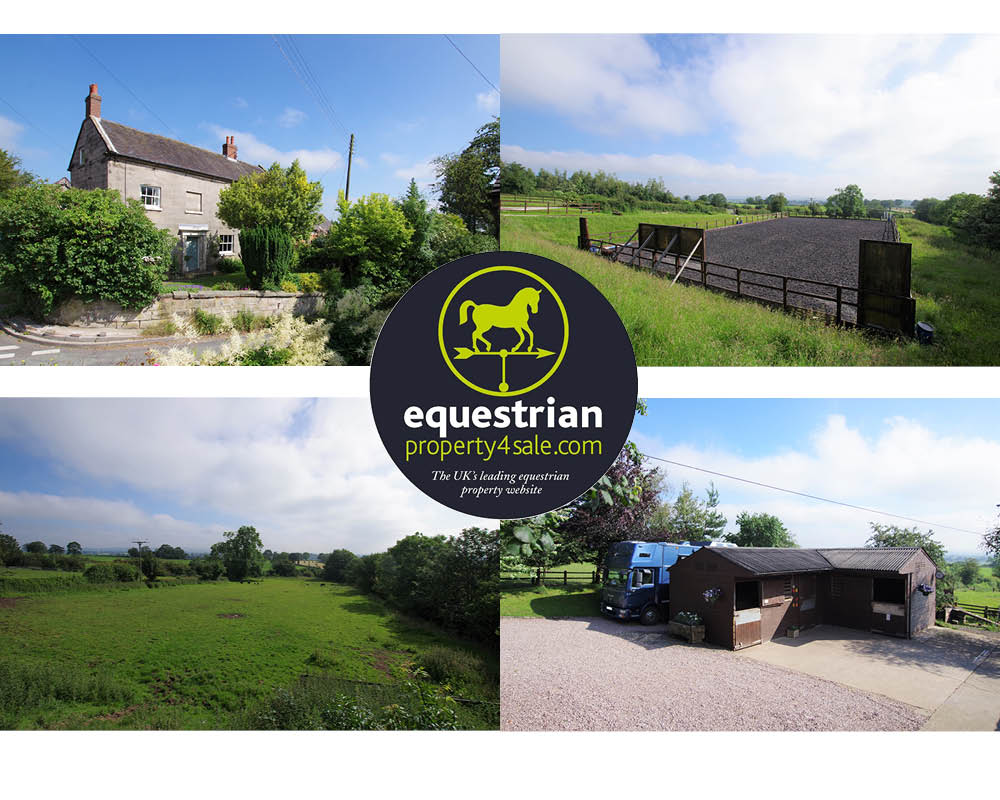 Equestrian property Hollington 