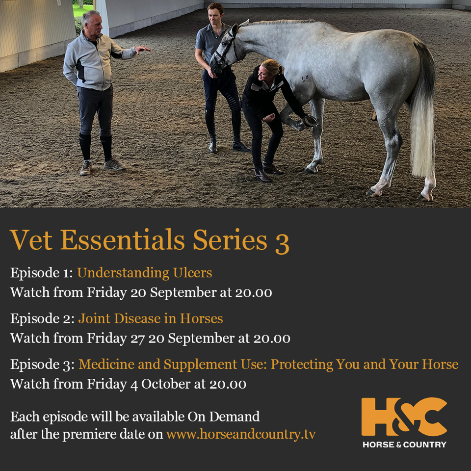 horse and country tv vet essentials