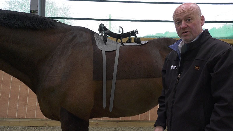 equestrian news the equestrian index WOW saddle gauge and girth