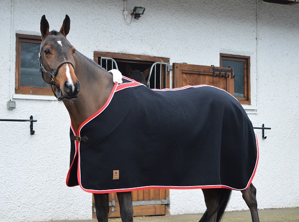 equestrian index equestrian news wool