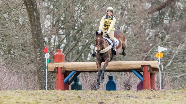 equestrian index equestrian news 56366